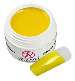 Żel kolorowy na paznokcie, PROFI, classic colour, Pure Yellow, 5g