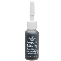 Propolisowy wyciąg Remmele's Propolis, 10 ml